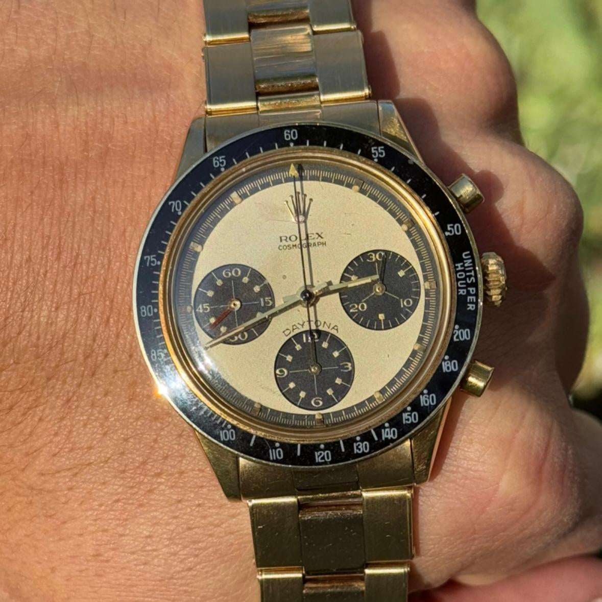 Gold Rolex 6241 Daytona Paul Newman Lemon with a detailed face held in a hand against a blurred natural background